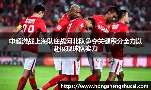 中超激战上海队迎战河北队争夺关键积分全力以赴展现球队实力